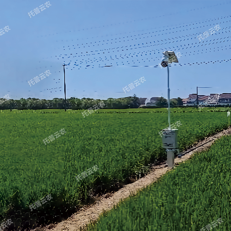 自動(dòng)趕蛾智能統(tǒng)計(jì)桿TP-GESB2.0